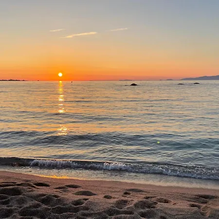 Grand T2 Cours Napoleon B Apartment *