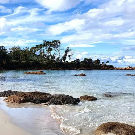 アパート Grand T2 Cours Napoleon B アジャクシオ