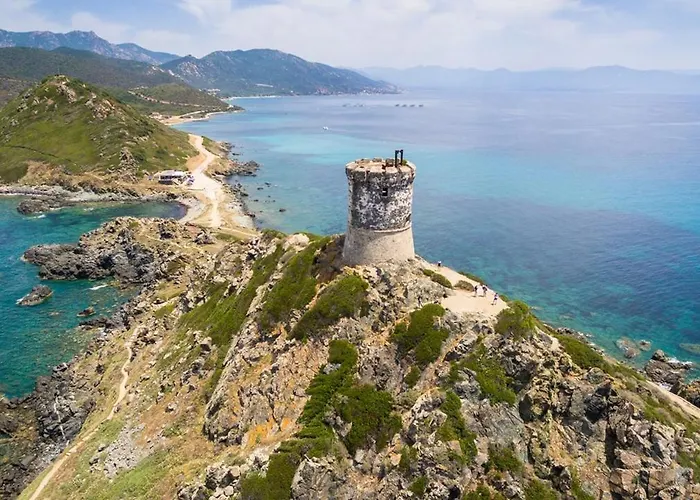 Daire Grand T2 Cours Napoleon B *