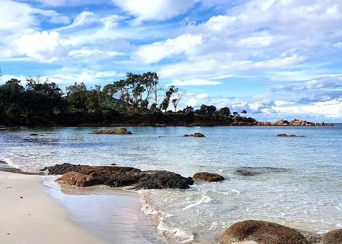 Daire Grand T2 Cours Napoleon B Ajaccio (Corsica)